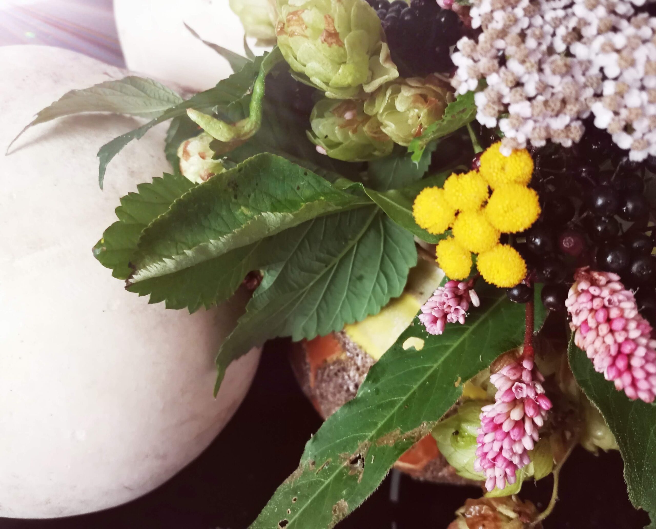 Close-up von Pilzen und Wildkräutern in einem Wildblumenstrauß