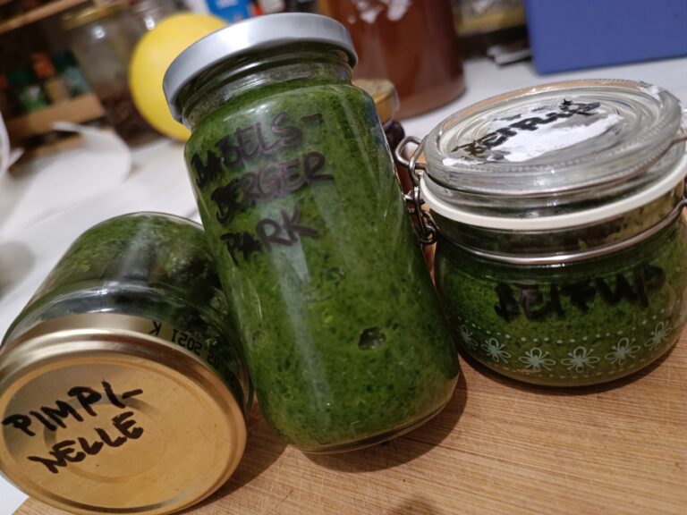 Kräuterpasten, einwecken, haltbar machen, Wildkräuter-Küche, Wildkräuter, Pesto, Marmeladengläser, Marmeladen, güne Küche