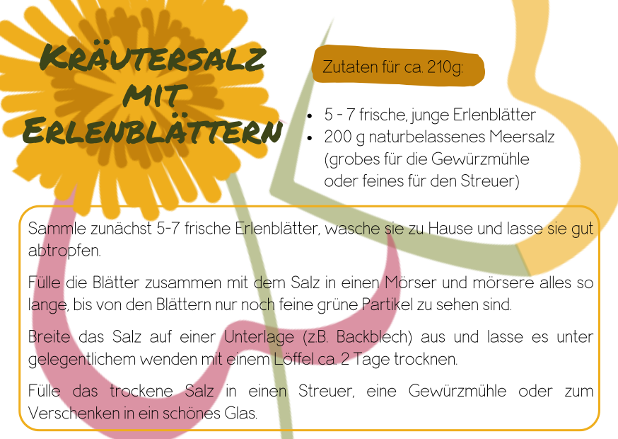 Rezeptkarte zu Kräutersalz mit Erlenblättern, einfaches Rezept Kräutersalz, Wildpflanzensalz