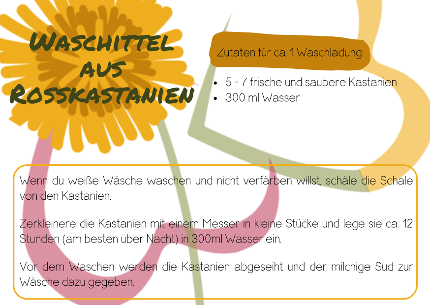einfache Anleitung für Waschmittel aus Rosskastanien, Waschmittel selber machen