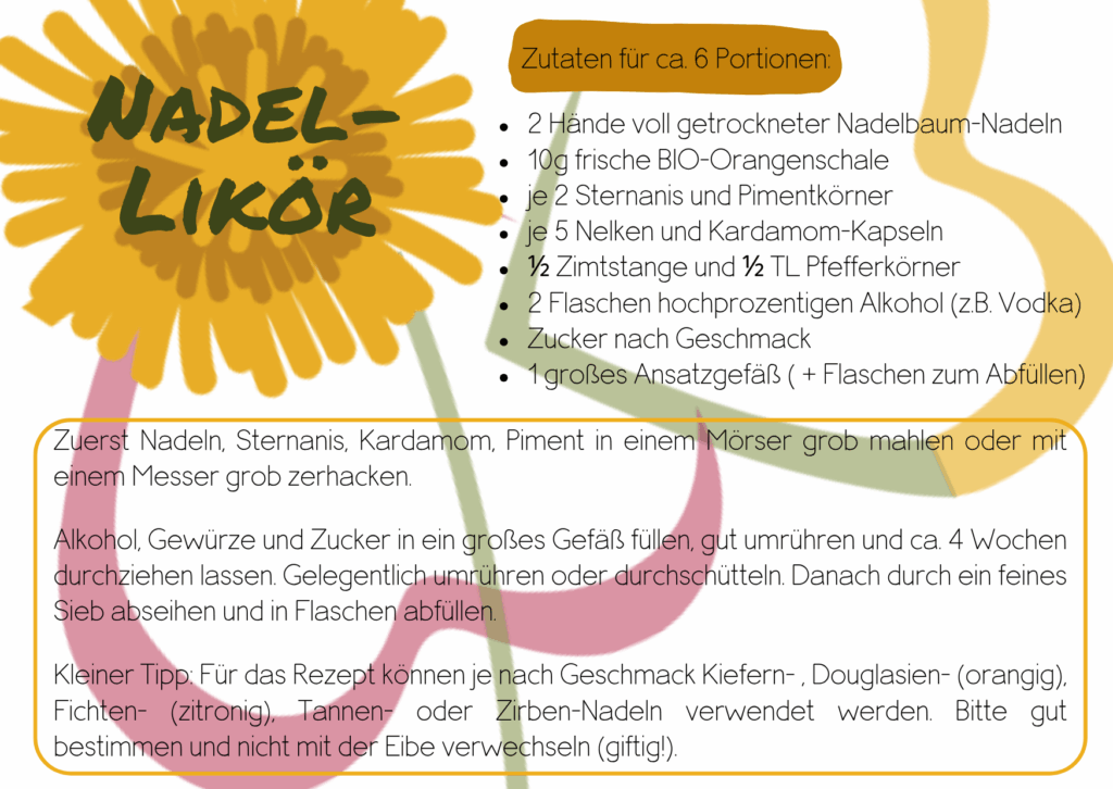 DIY-Anleitung Nadel-Likör selber machen