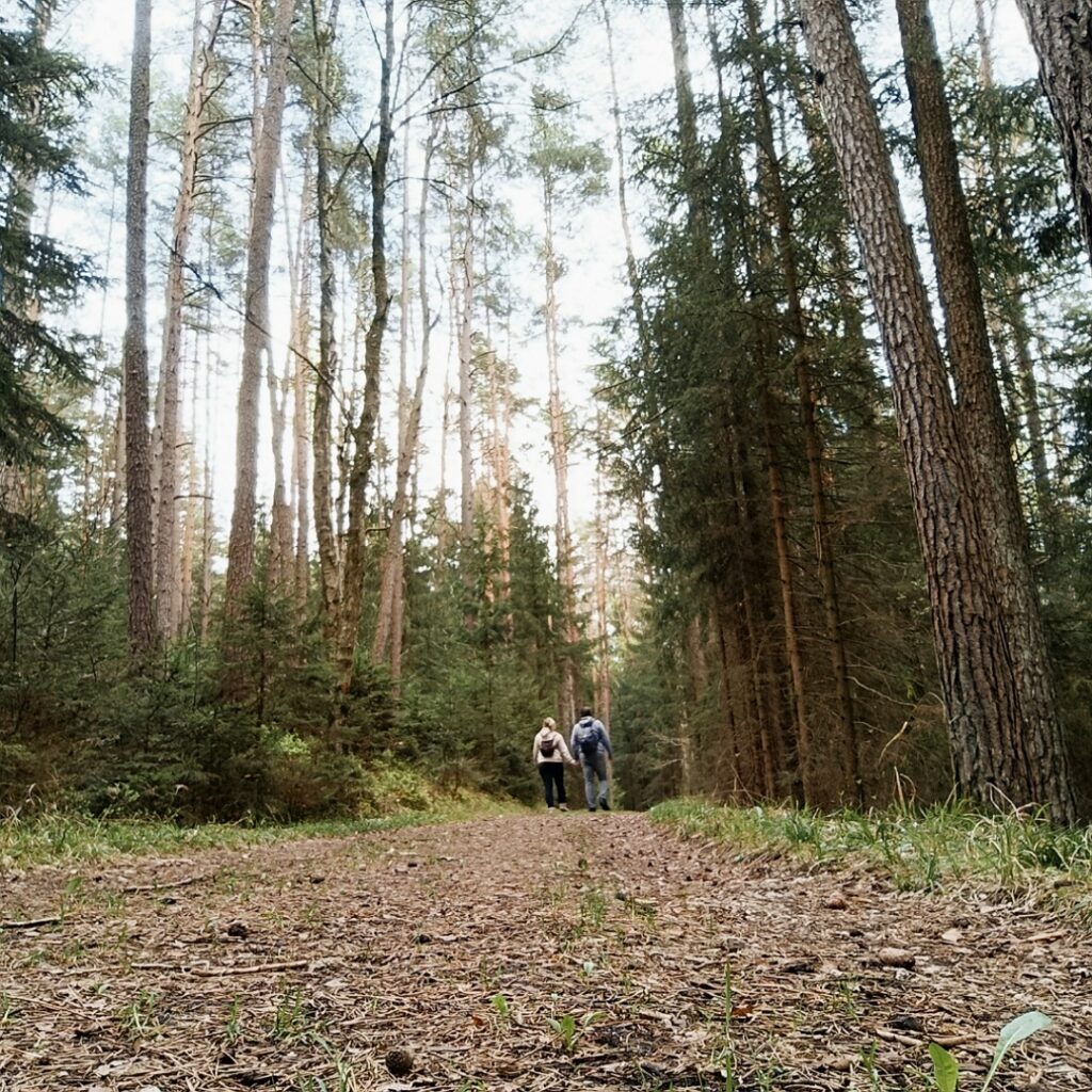 Wanderer auf Wanderweg