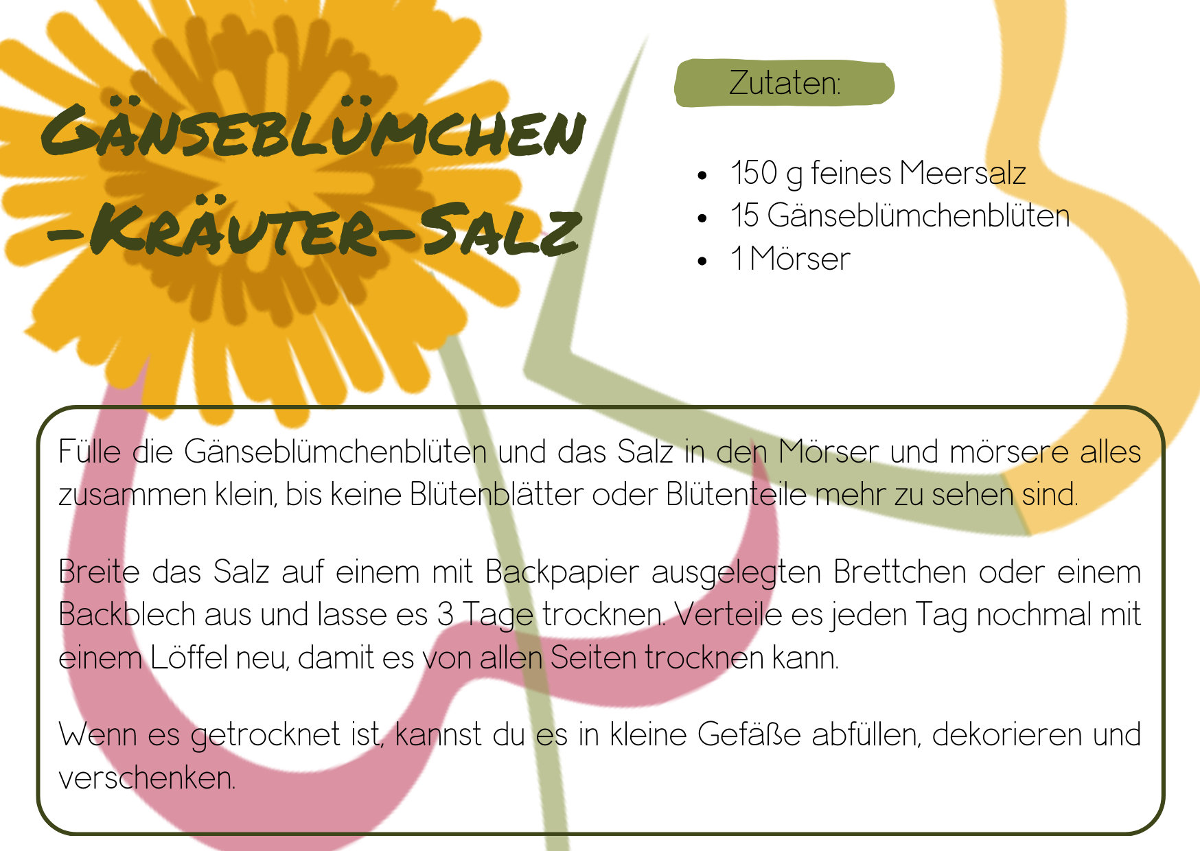 Gänseblümchen Verwendung; Kräutersalz mit Gänseblümchen