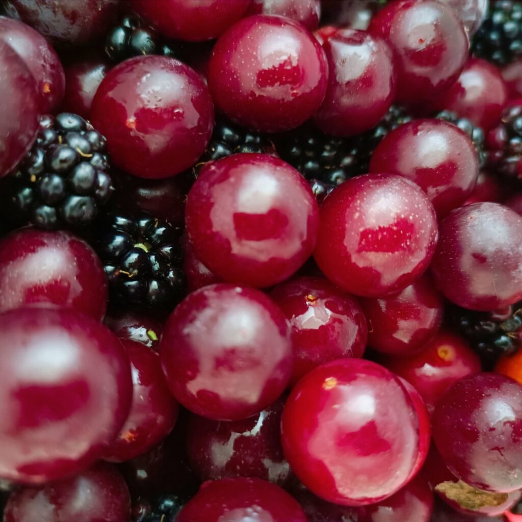 rote Pflaumen und Brombeeren