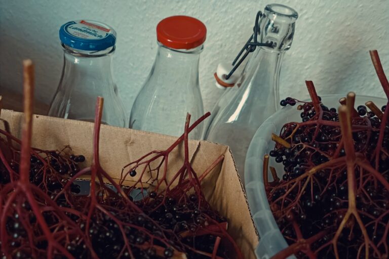Holunder und Flaschen für Holundersaft