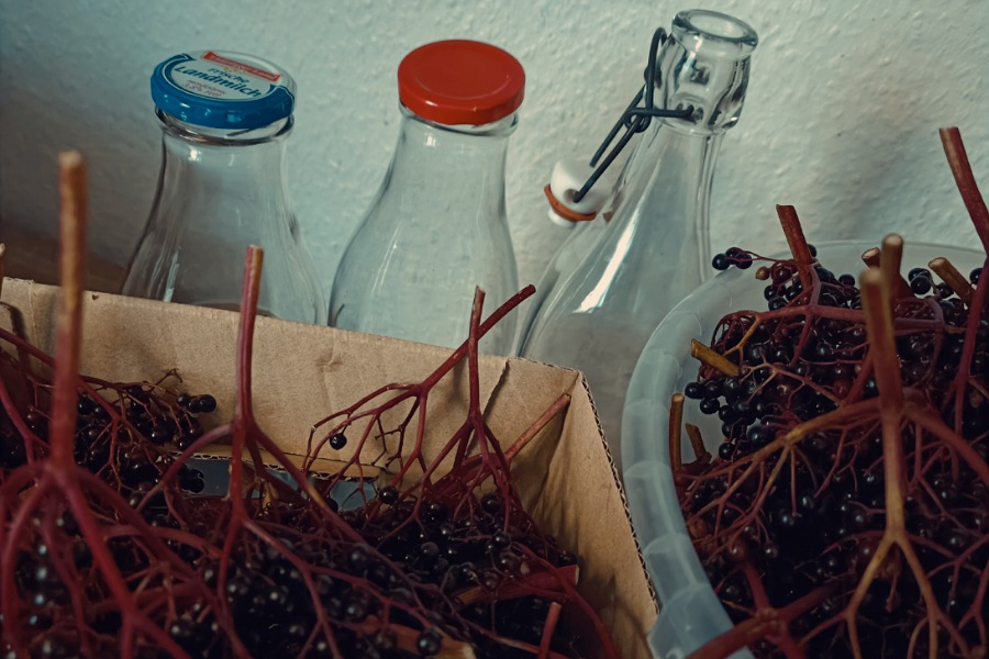 Holunder und Flaschen für Holundersaft