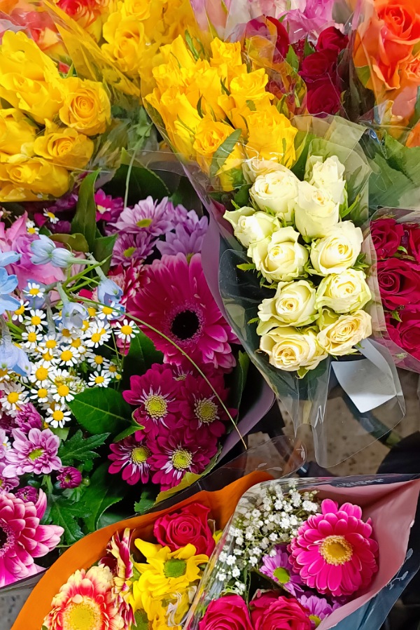 Blumenmeer im Supermarkt, 12 von 12