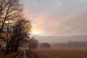 Morgenstimmung im Land Brandenburg; 12 von 12