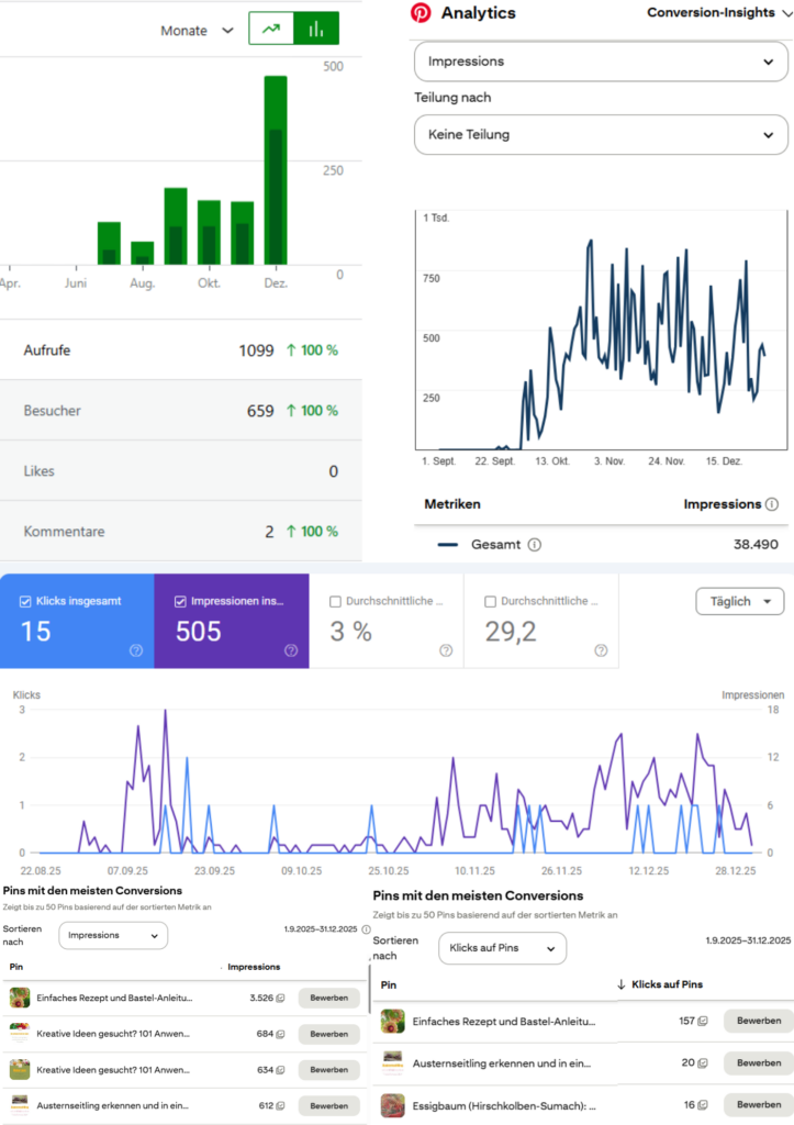 Statisiken zu meinem Blog aus Jetpack, GSC, GA und Pinterest