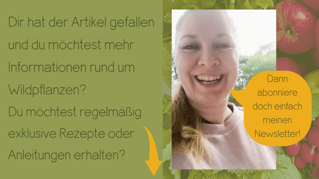 Abonniere meinen Newsletter!