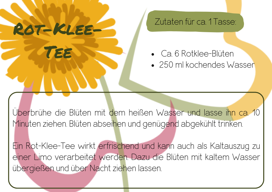 Kräutertee für hormonelle Schwankungen, Wechseljahrsbeschwerden pflanzlich mildern