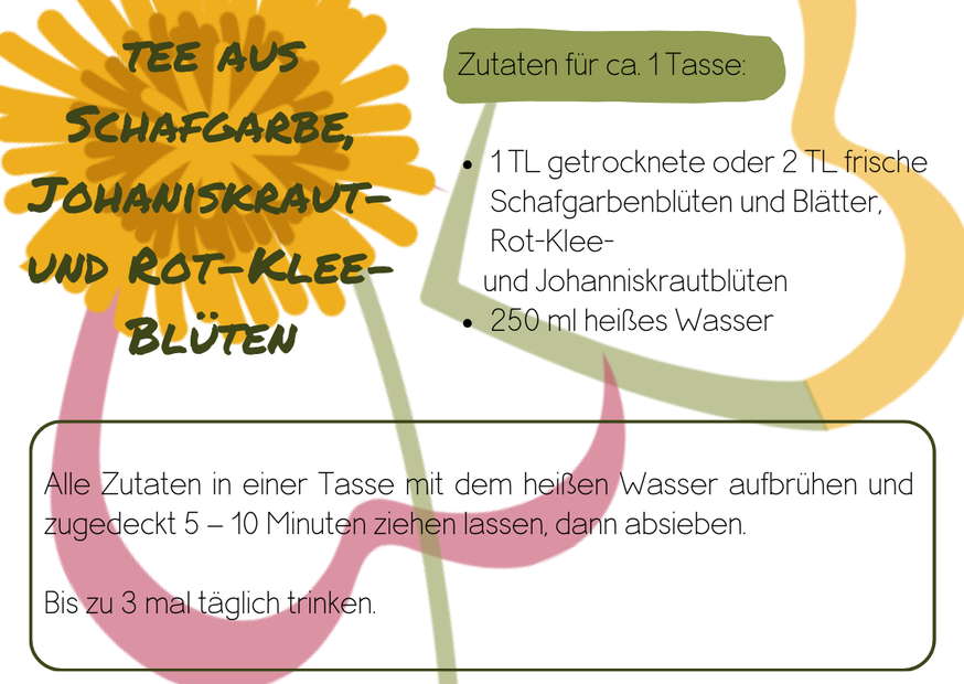 Frauentee Zyklus, Hormone, innere Balance für die Frauengesundheit