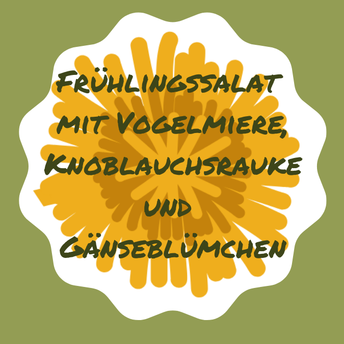 Frühlingssalat mit Vogelmiere, Knoblauchsrauke und Gänseblümchen, einfaches Rezept