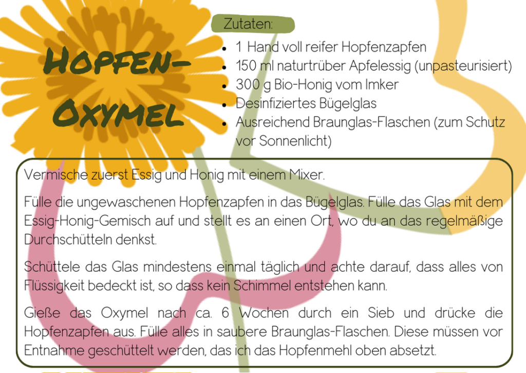 Hopfen-Oxymel für guten Schlaf