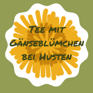 Tee aus Gänseblümchen bei Husten
