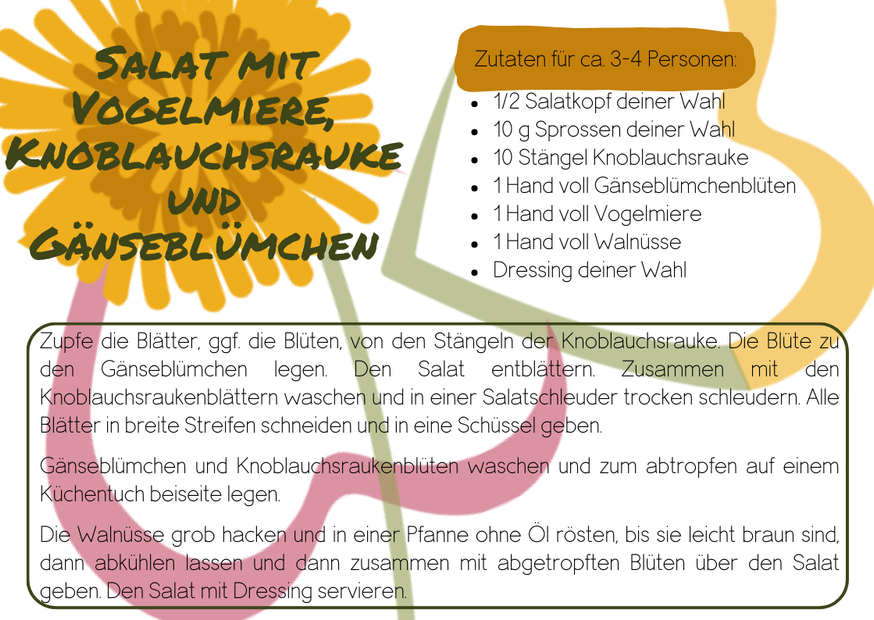 Frühlingssalat mit Vogelmiere, Knoblauchsrauke und Gänseblümchen, einfaches Rezept mit Superfoods