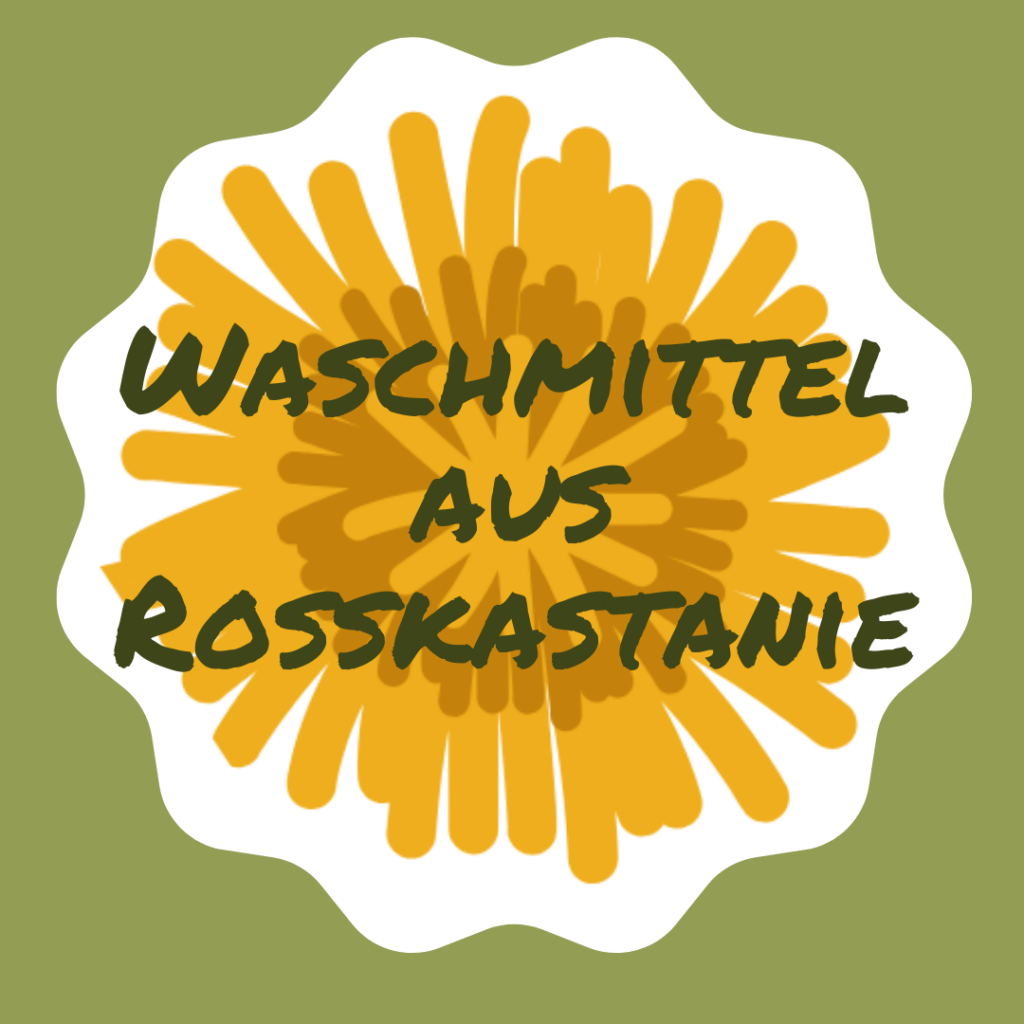 Waschmittel selber machen mit Rosskastanie, einfache Anleitung