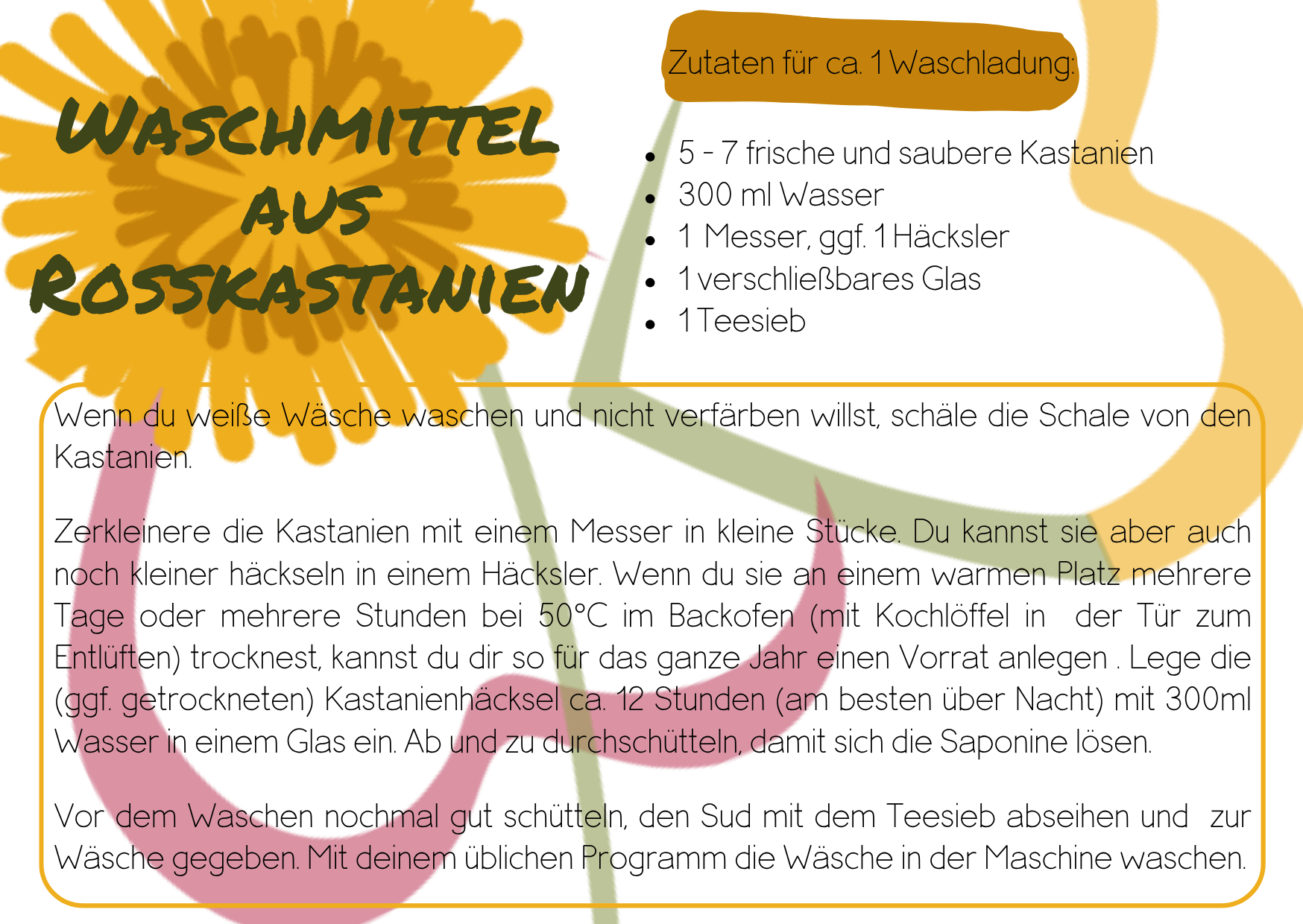Waschmittel aus Rosskastanien Anleitungskarte