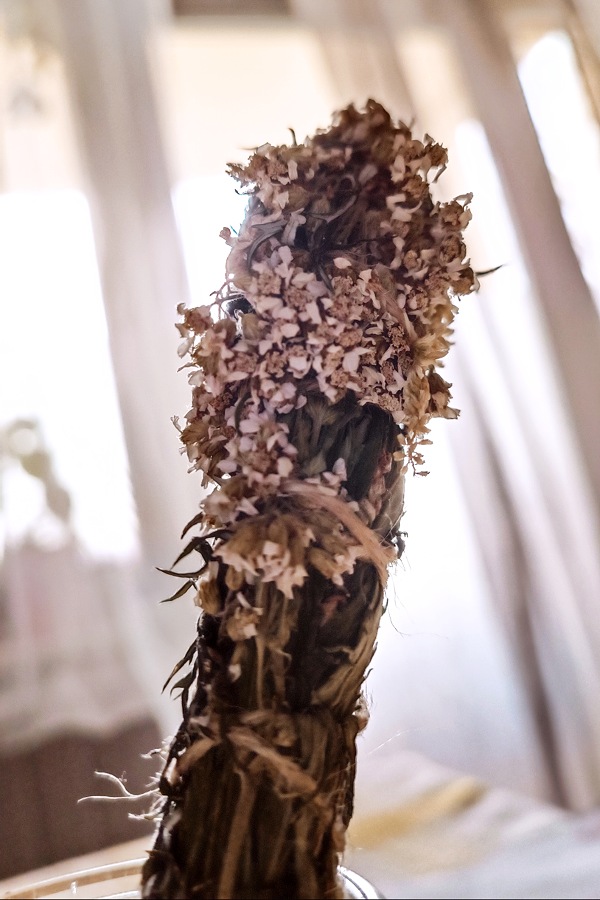 Wirkung Schafgarbe in Schutzritualen