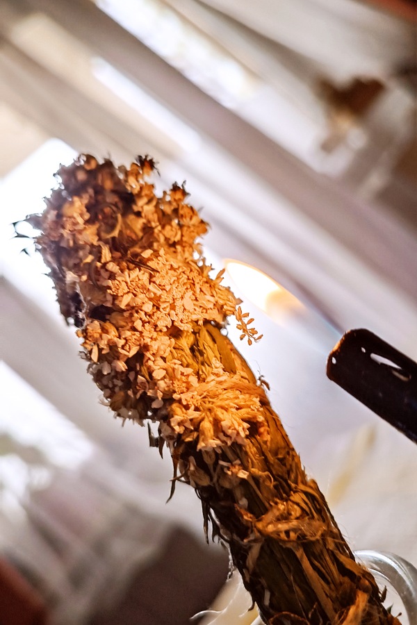 Wirkung Schafgarbe in Schutzritualen