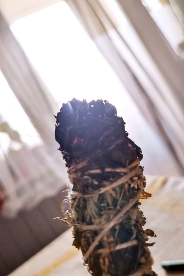 Schafgarbe Wirkung in Ritualen