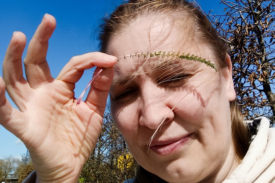 Wirkung Schafgarbe, Augenbraue der Venus, Rituale