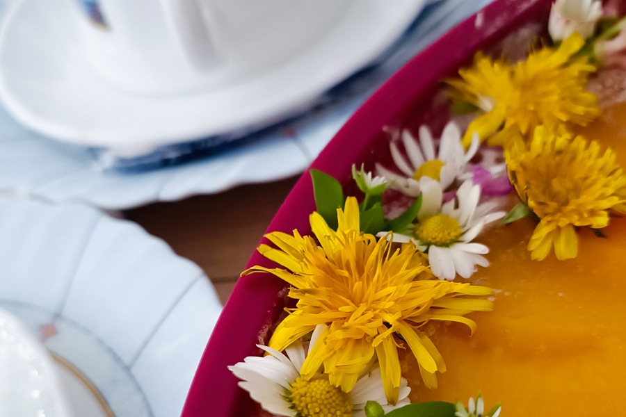 Löwenzahnblüten als Deko, Löwenzahn entfernen?, Löwenahn nutzen