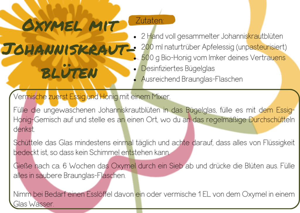 Johanniskraut-Oxymel aus Blüten, Honig und Apfelessig – Rezeptübersicht
