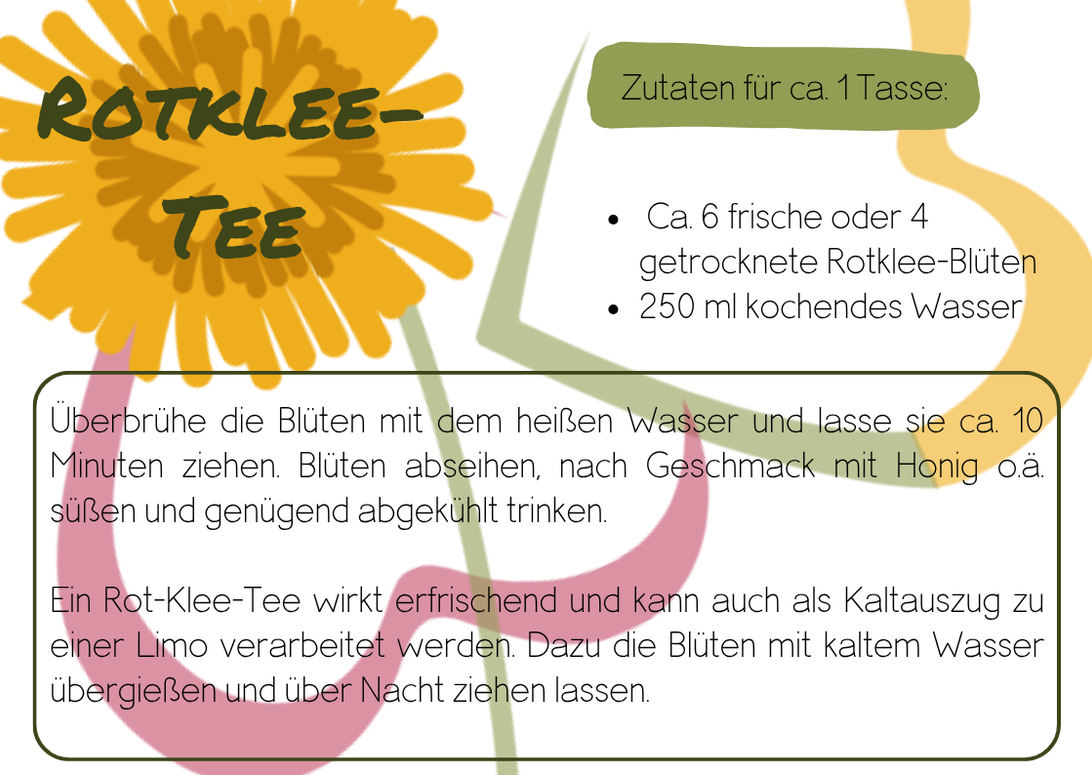 Rezept Rotklee-Tee Wechseljahre, Rotklee Phytohormone