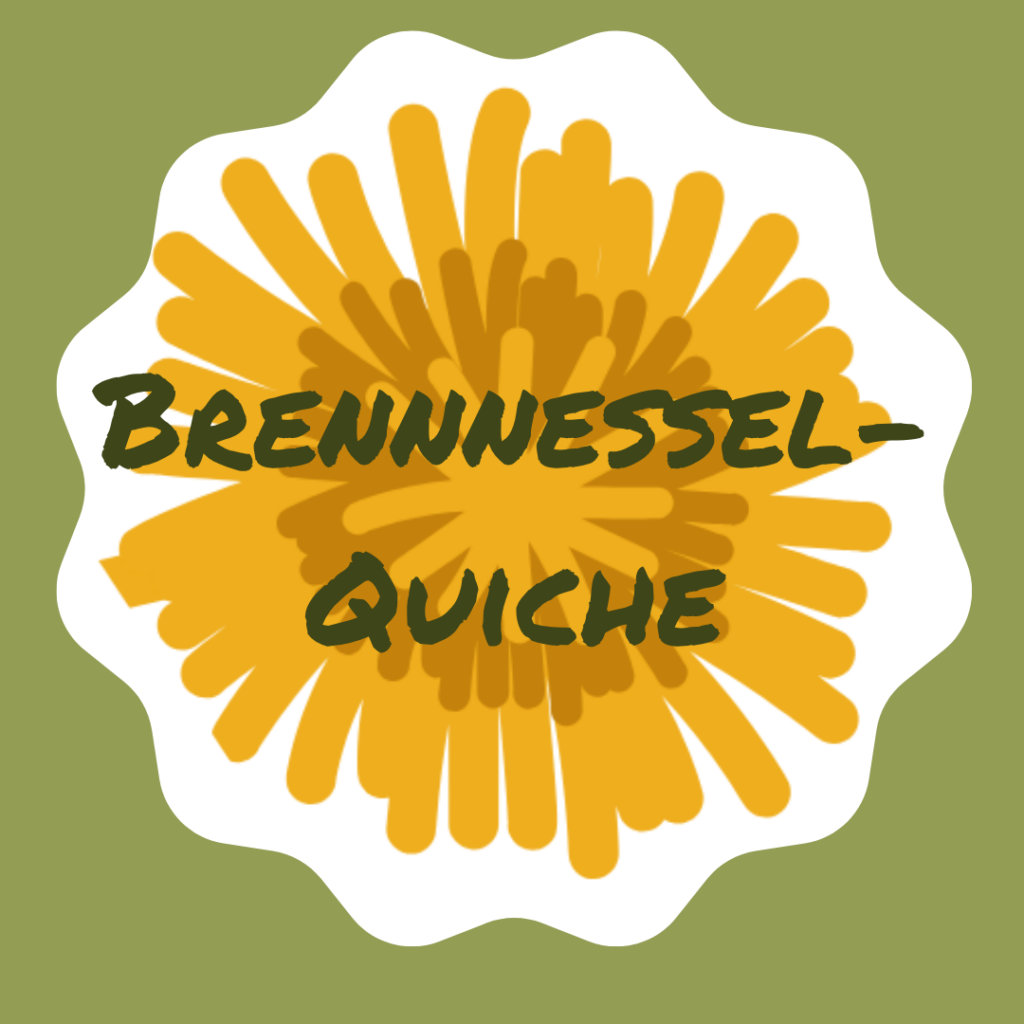 Lieblingsrezept mit Wildkräutern: Brennnessel-Quiche