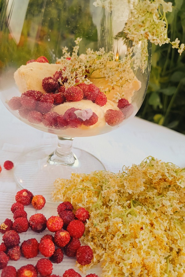 Dessert mit wilden Walderdbeeren, Holunderblüten und Vanilleeis.
