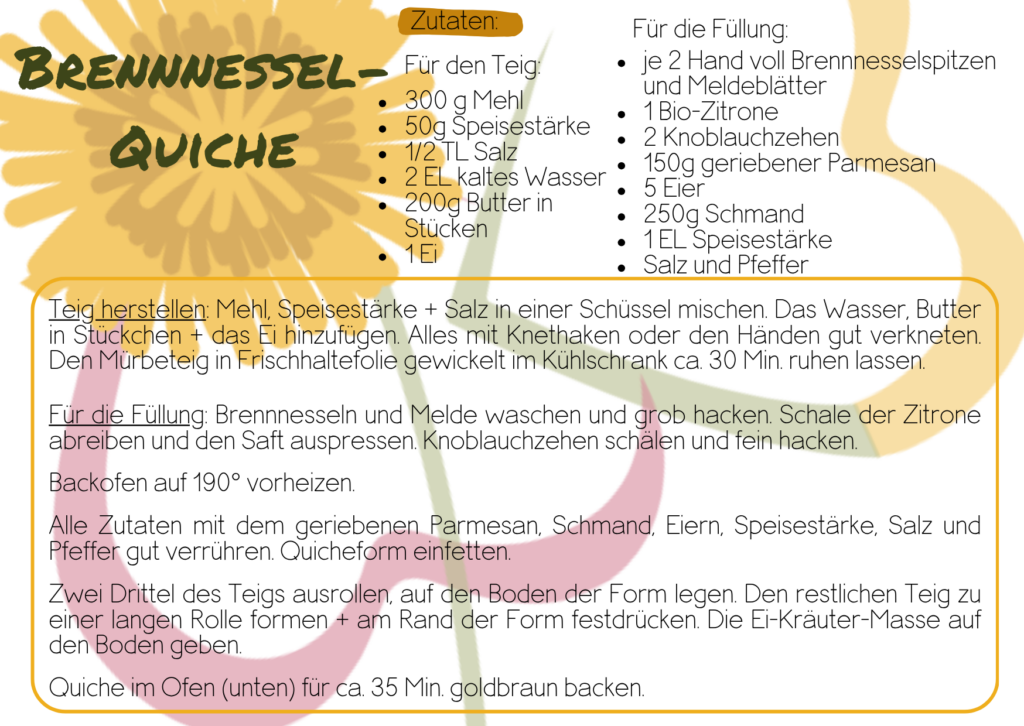 Mein Lieblingsrezept mit Wildkräutern, Brennnessel-Quiche