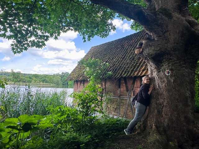 Ich an einem alten Ahorn am Schloss Derneburg
