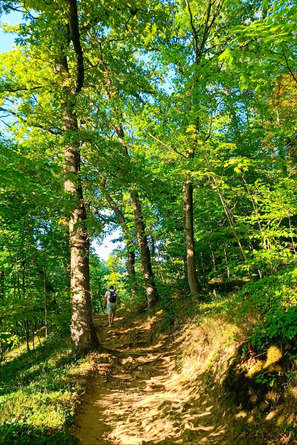 Überraschendes Luxemburg: Kräuterliebe kennt keine Ferien