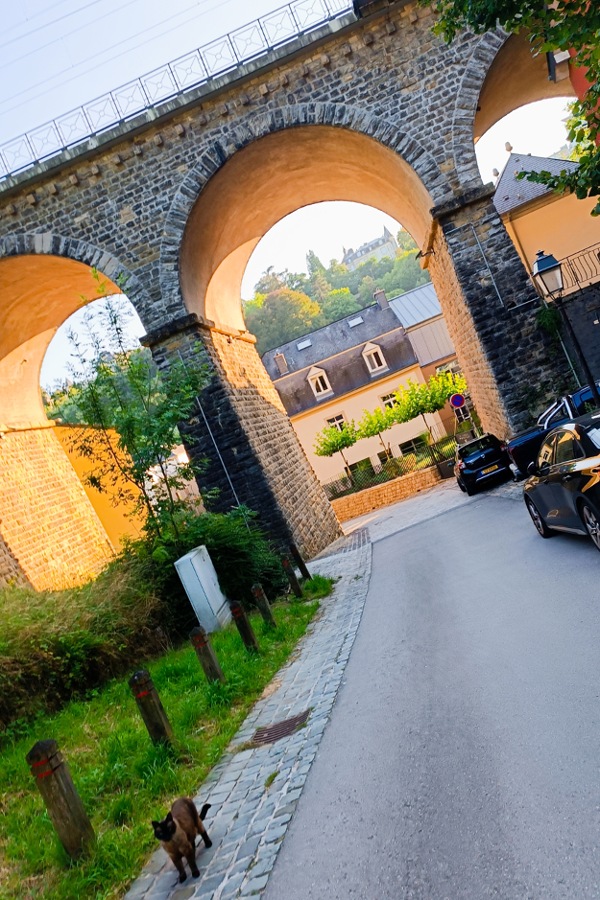 Überraschendes Luxemburg: Kräuterliebe kennt keine Ferien