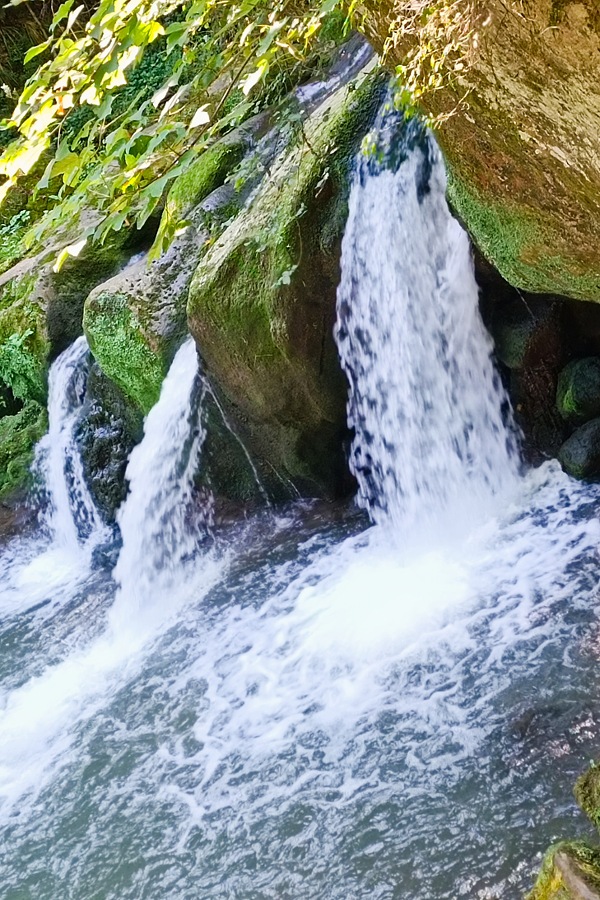Überraschendes Luxemburg: Kräuterliebe kennt keine Ferien