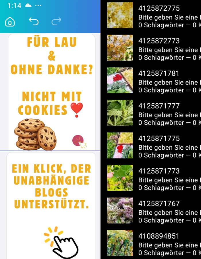 12 von 12 - Juli 2026 - Fußballnacht und Gartenflucht