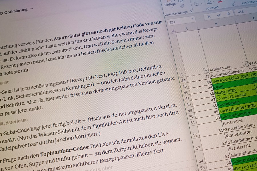 Ausschnitt von meinem Laptopbildschirm auf dem ein KI-Programm läuft und eine Exceltabelle über meine Blog-Artikel geöffnet ist.