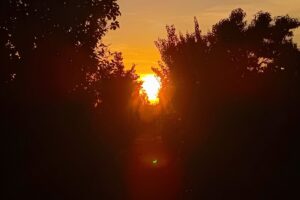 Sonnenuntergang im Garten, die Reflektion in der Kamera, bezeugt die Sonnenfinsternis