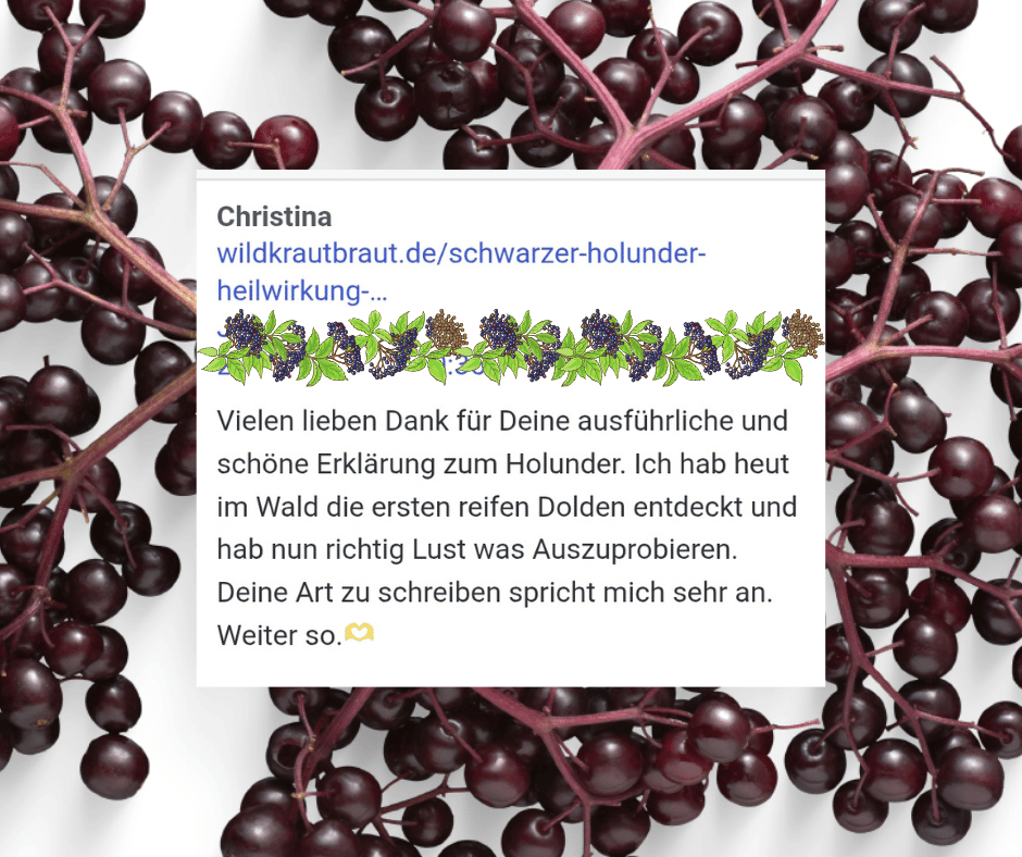 Christinas Kommentar, in dem sie beschreibt, wozu sie mein Holunderartikel inspiriert hat