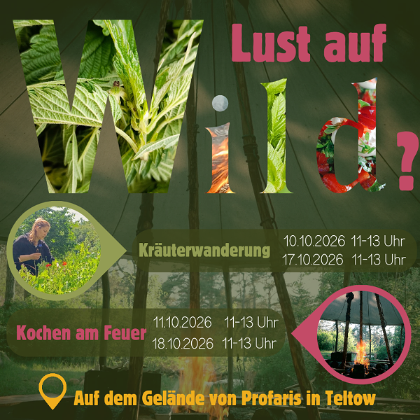 Werbebanner für Kräuterwanderungen und Kochen am offenen Feuer im Oktober 2026