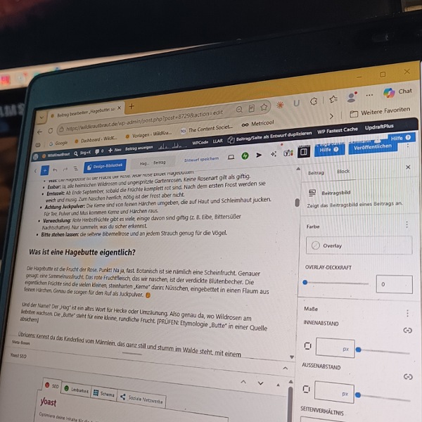 Mein Laptopbildschirm auf dem ich gerade meinen neuesten Artikel über die Hagebutte schreibe