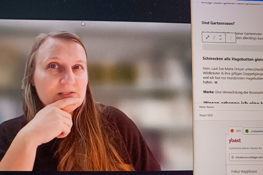 Teilnahme an einem Meeting mit Judith, nebenbei ist mein neuester Artikelentwurf geöffnet