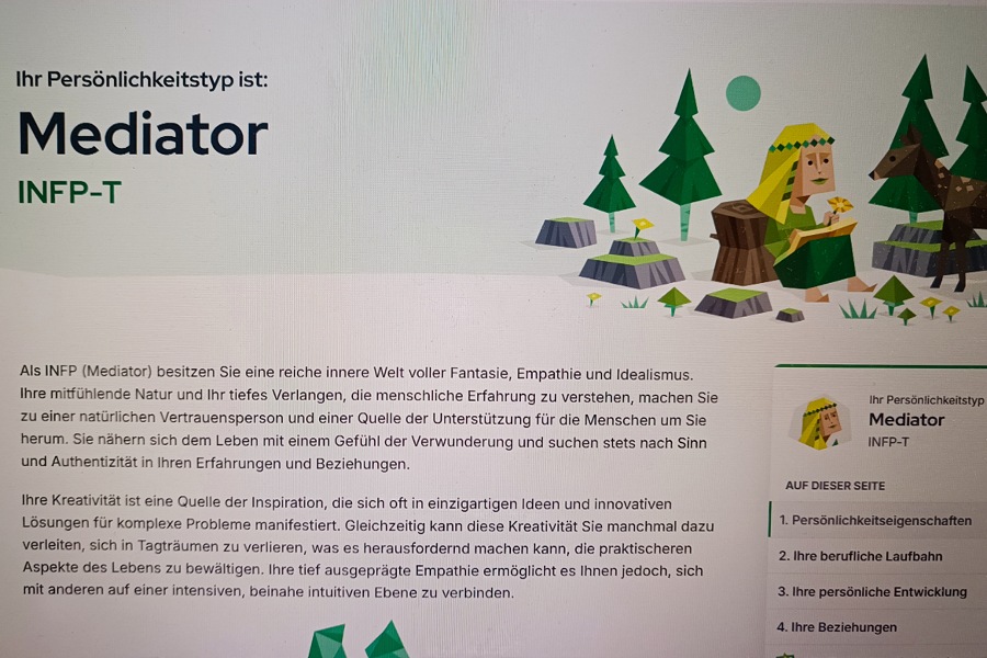 meine Persönlichkeitstestauswertung mit dem Ergebnis Mediator